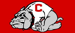 Crestview High School Bulldog